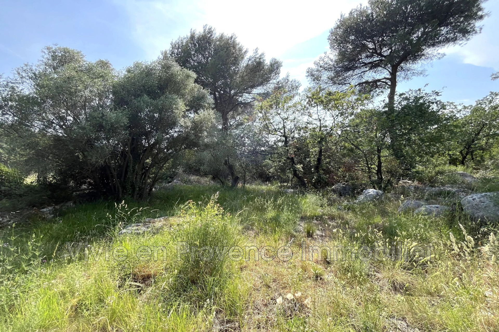 Agence immobilière de Vivre en Provence