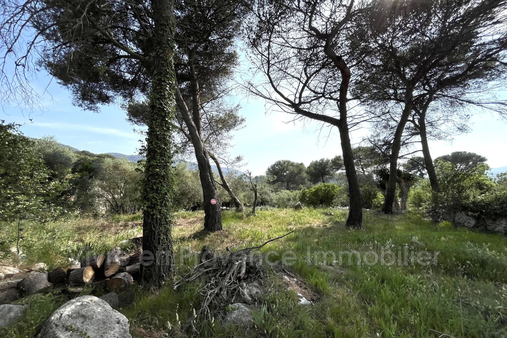 Agence immobilière de Vivre en Provence