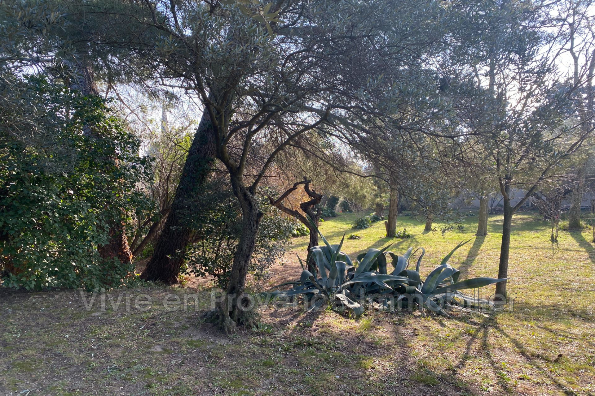 Agence immobilière de Vivre en Provence