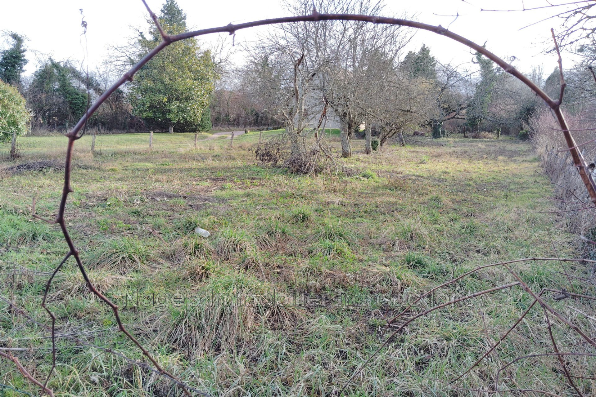 Agence immobilière de Nagep Immobilier Transactions