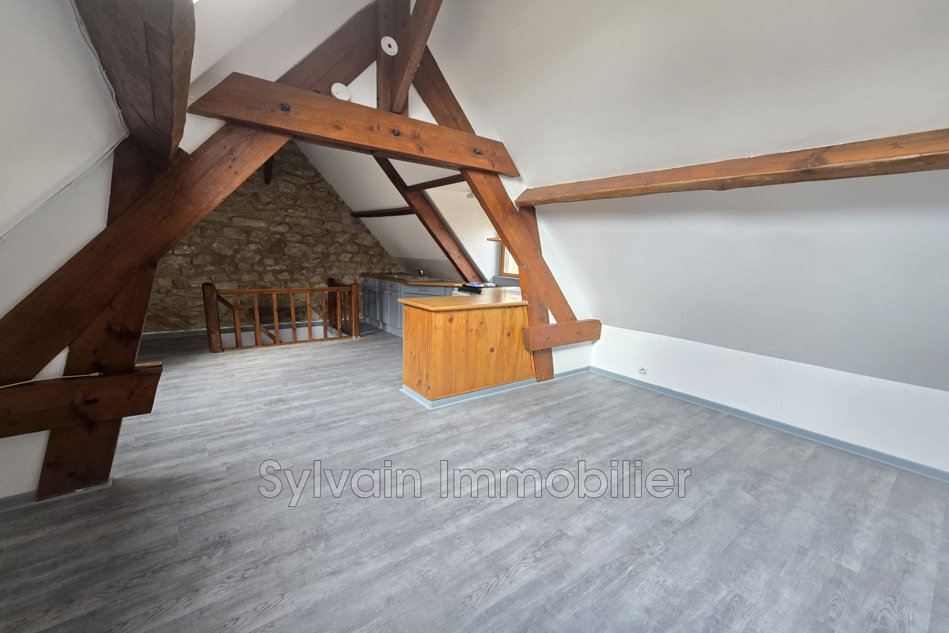 Agence immobilière de Sylvain Immobilier