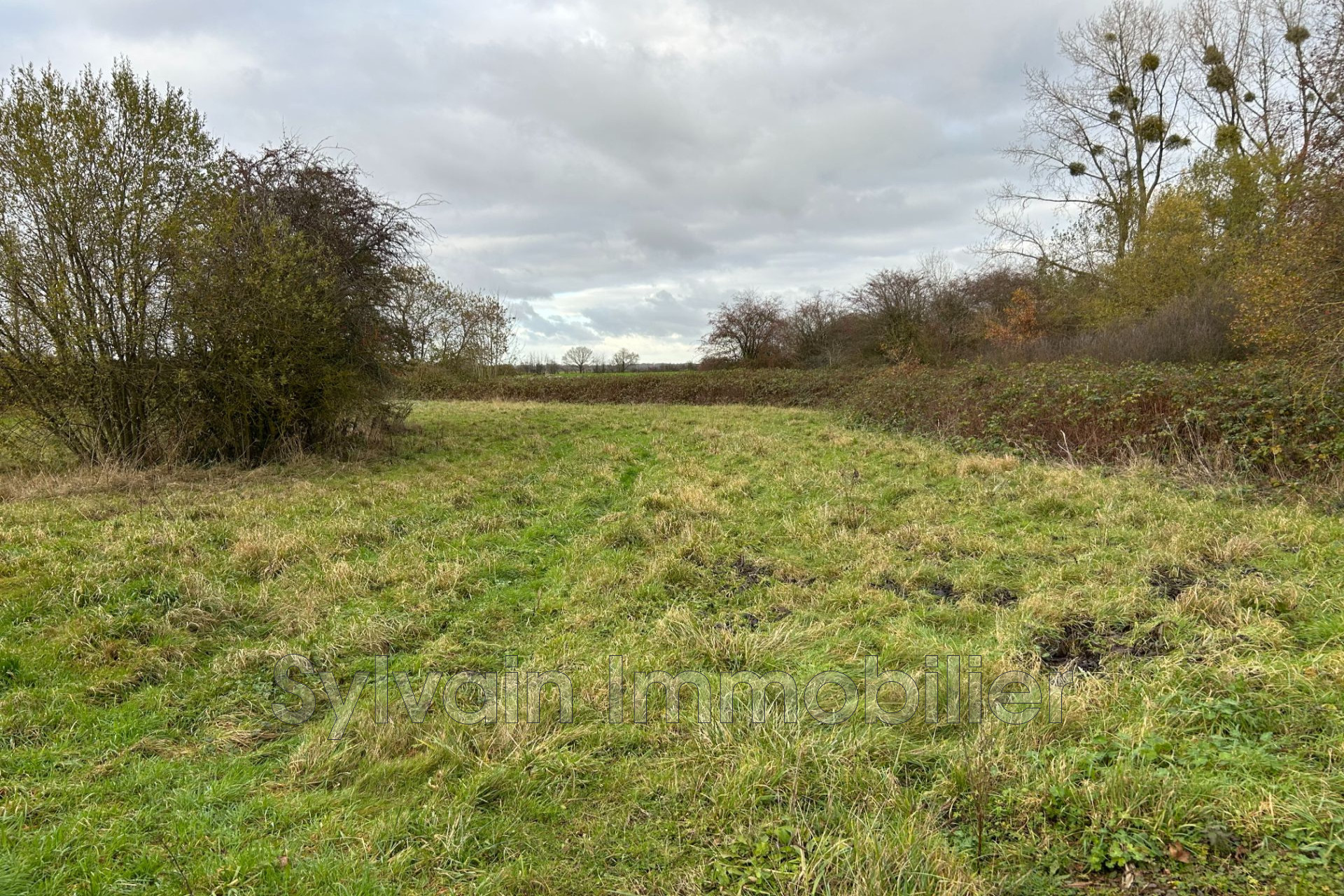 Agence immobilière de Sylvain Immobilier