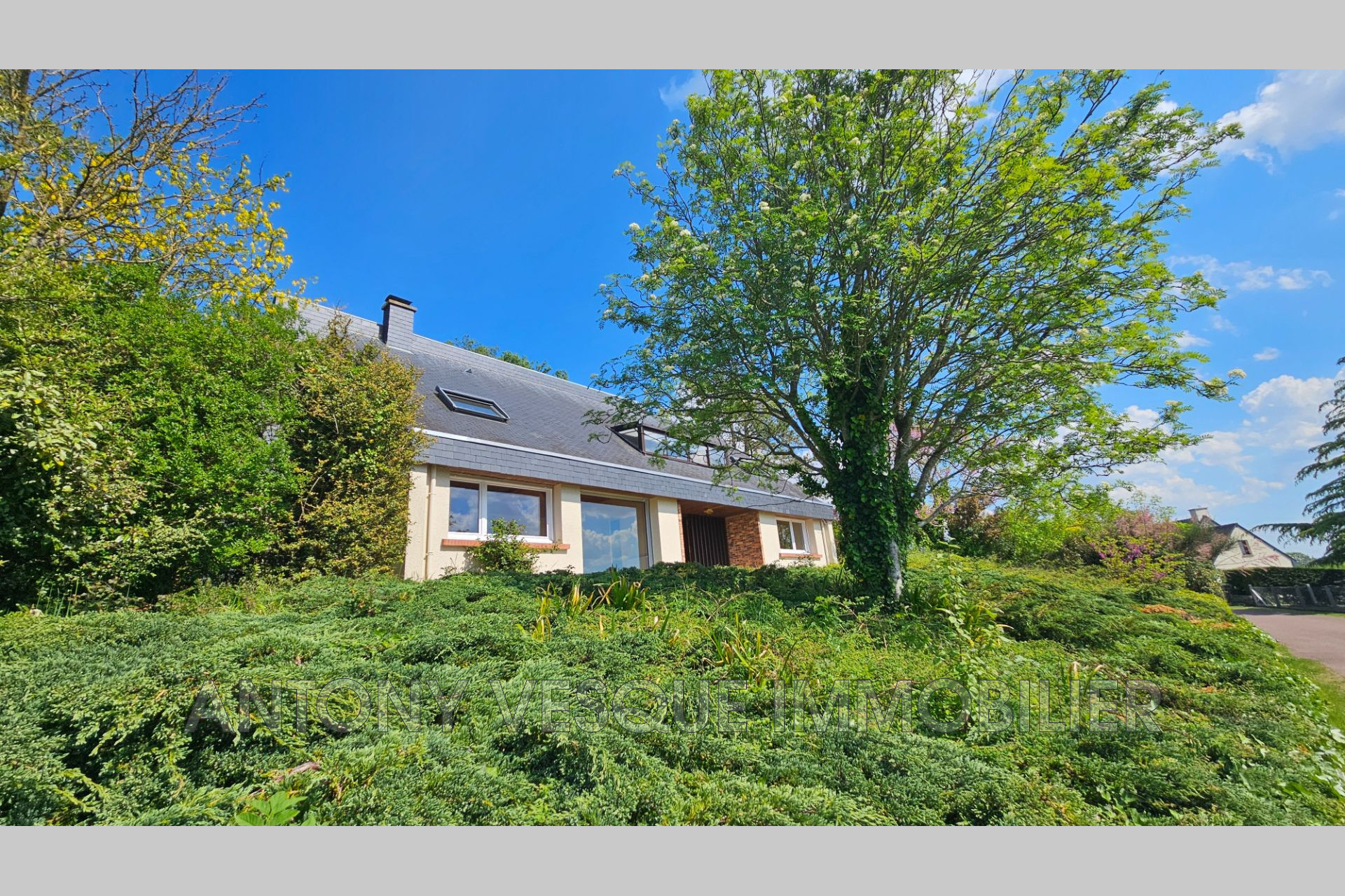 Agence immobilière de AVI Agon Coutainville - Vesque Immobilier