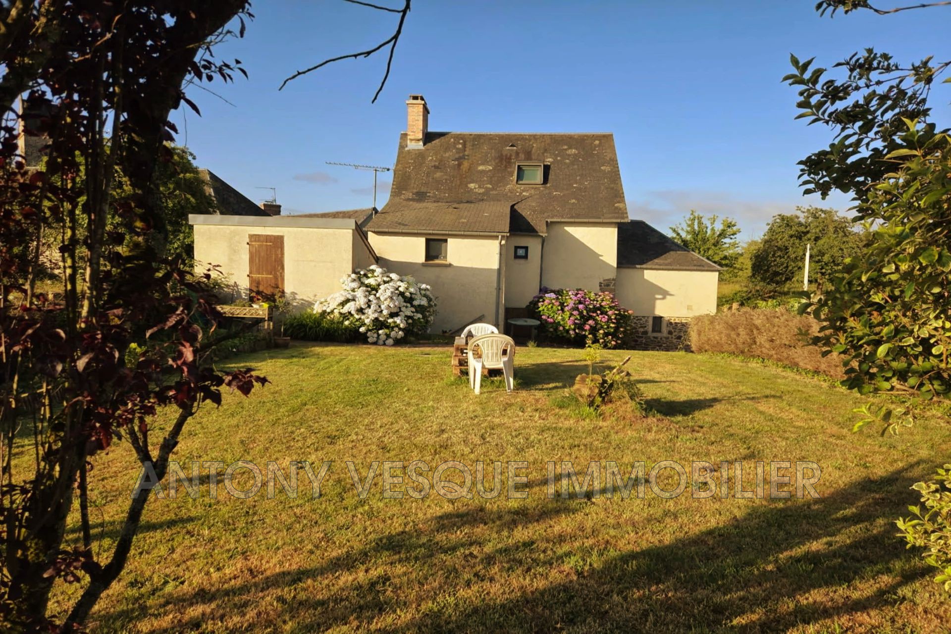 Agence immobilière de AVI Agon Coutainville - Vesque Immobilier