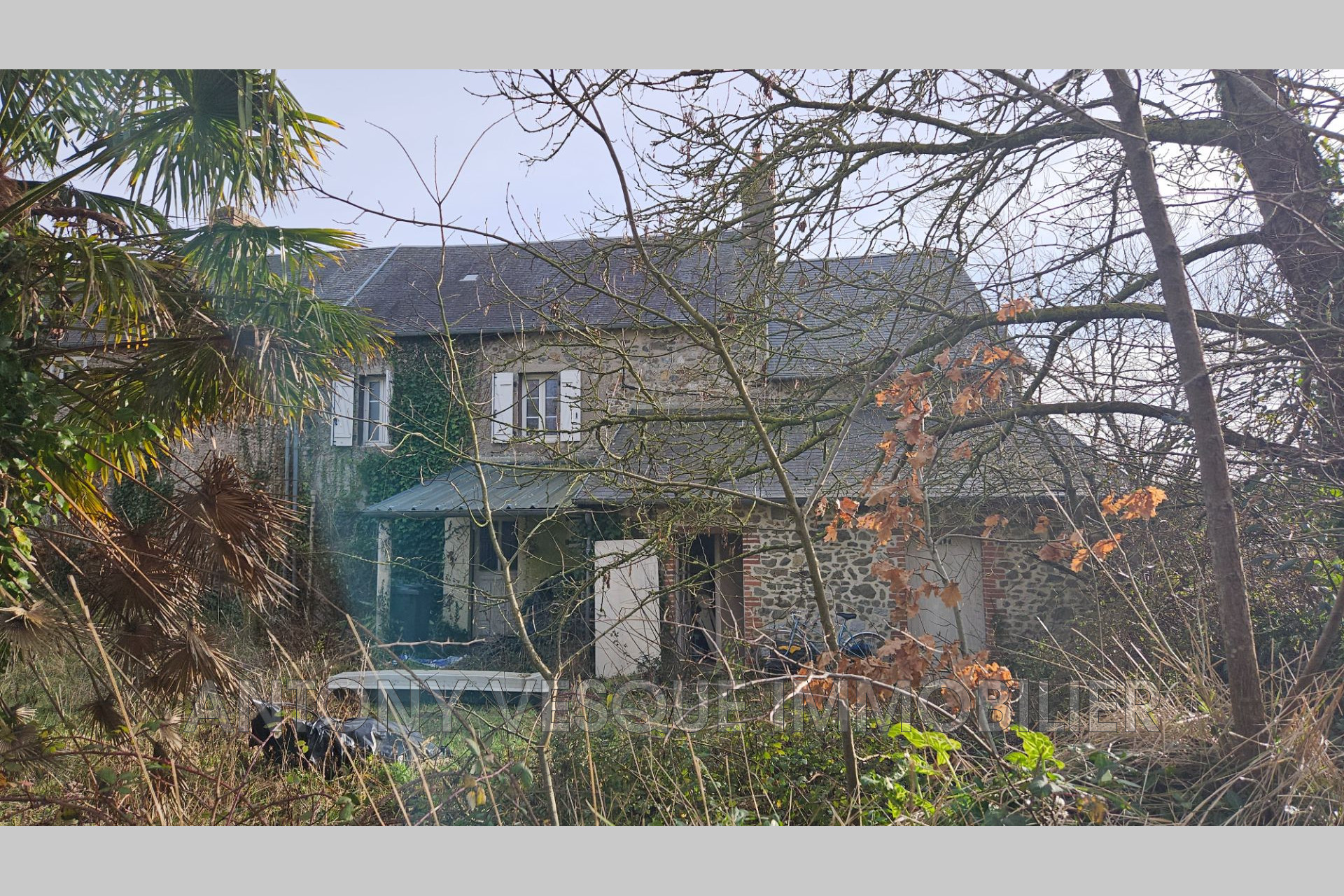 Agence immobilière de AVI Agon Coutainville - Vesque Immobilier