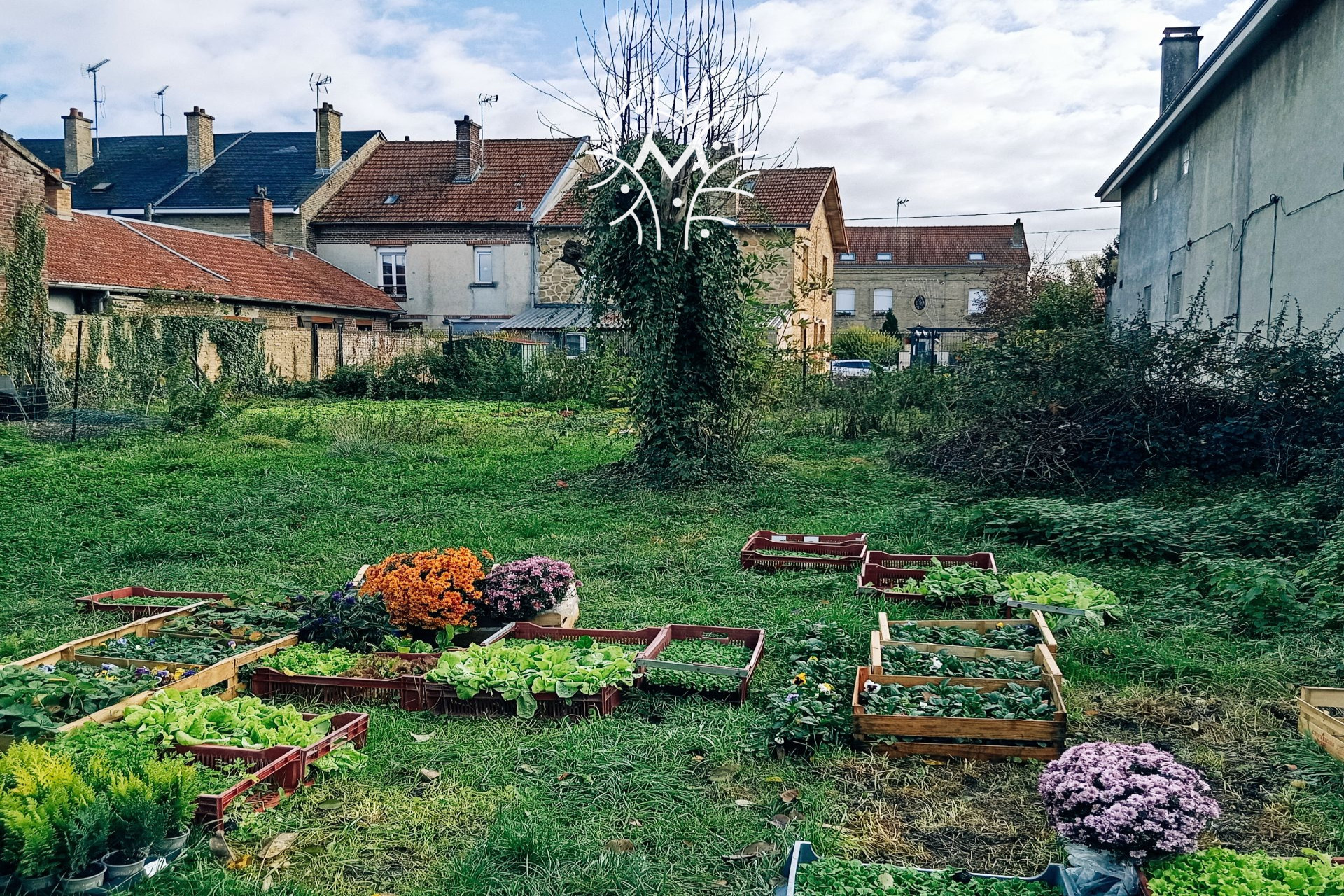 Agence immobilière de Mathieu Immobilier & Conseils