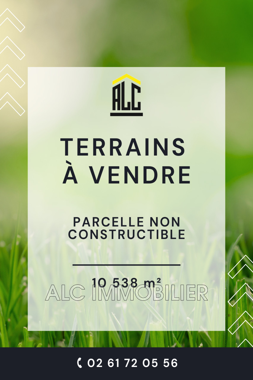 Vente terrain non constructible