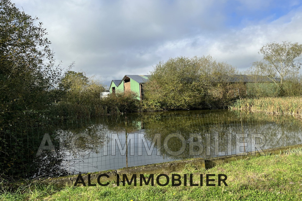 CORPS DE FERME BIO DE 85 HECT SECTEUR ENTRE LE PERCHE ET ALENC