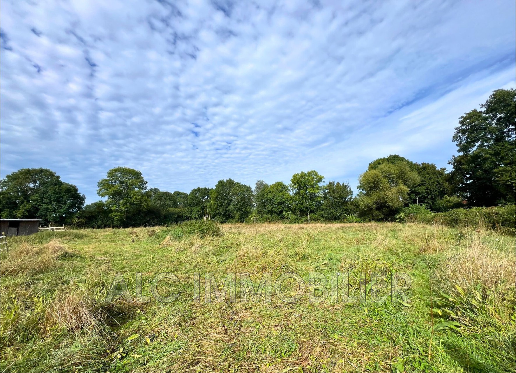 Agence immobilière de ALC IMMOBILIER