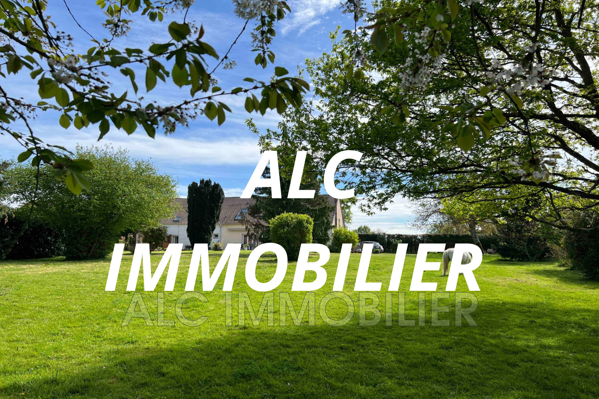 Agence immobilière de ALC IMMOBILIER