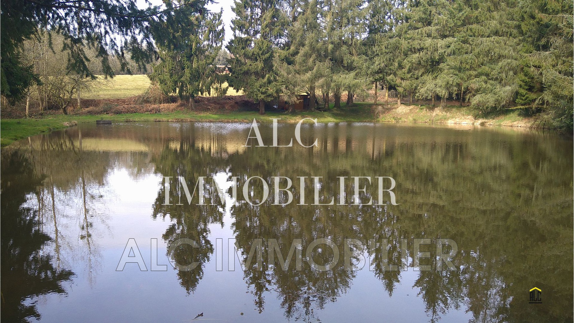 Agence immobilière de ALC IMMOBILIER