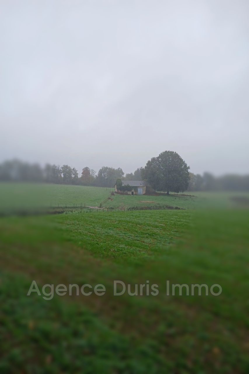Troisième photo