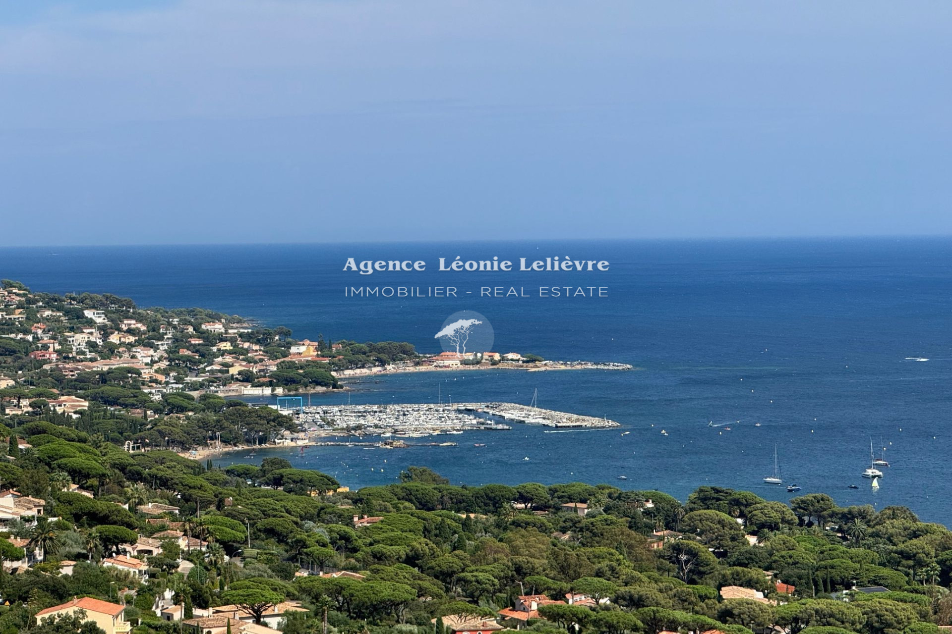 Agence immobilière de Agence Leonie Lelievre