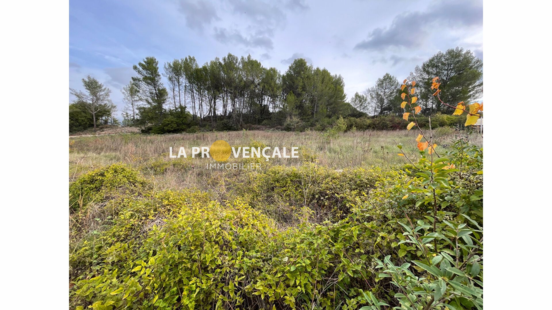 Agence immobilière de La Provençale Gréasque