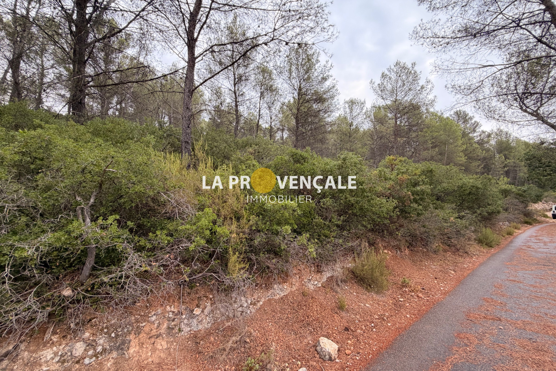 Agence immobilière de La Provençale Gréasque