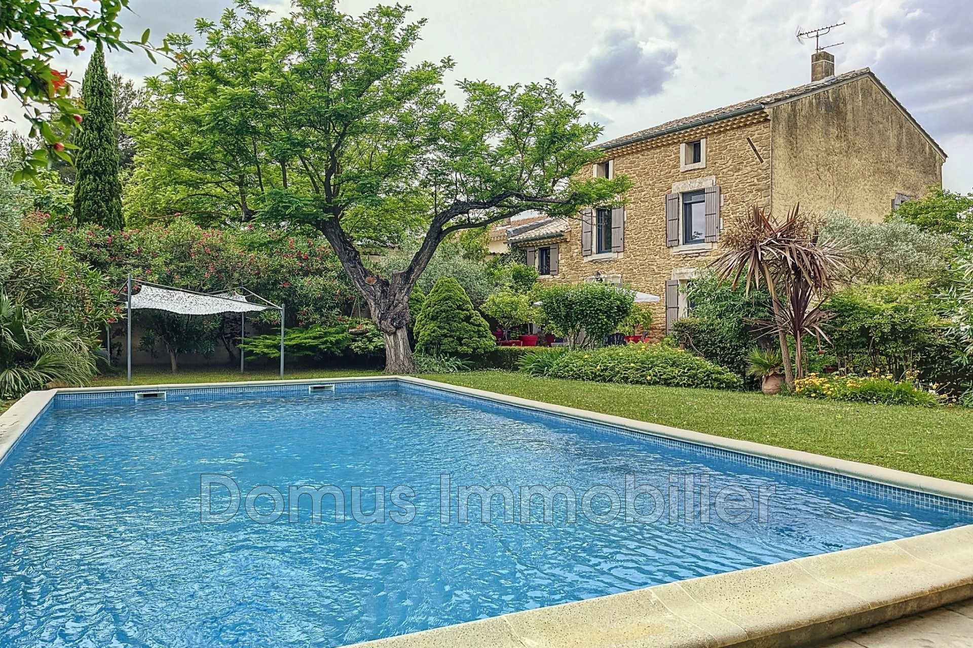 Agence immobilière de Domus Immobilier