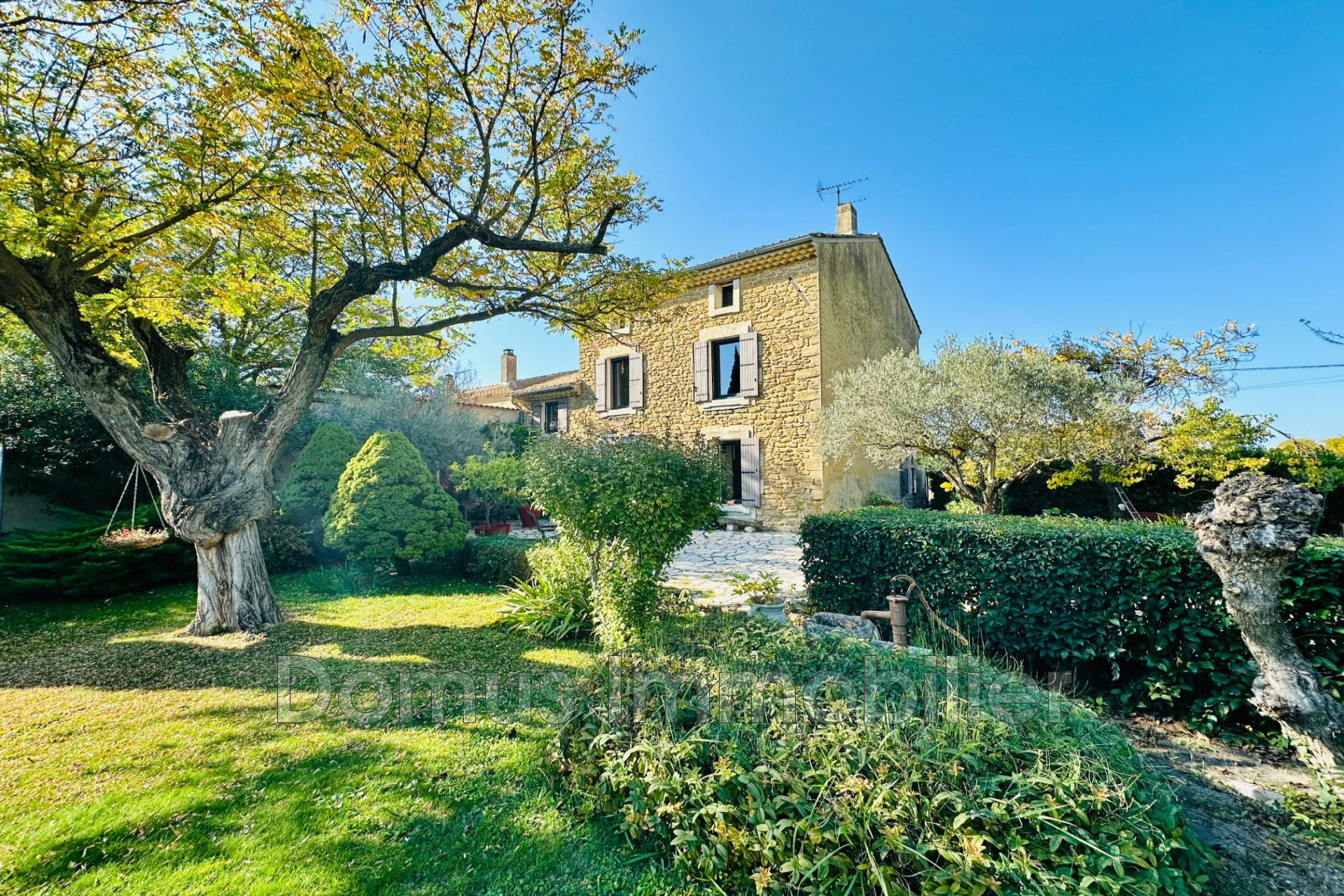 Agence immobilière de Domus Immobilier