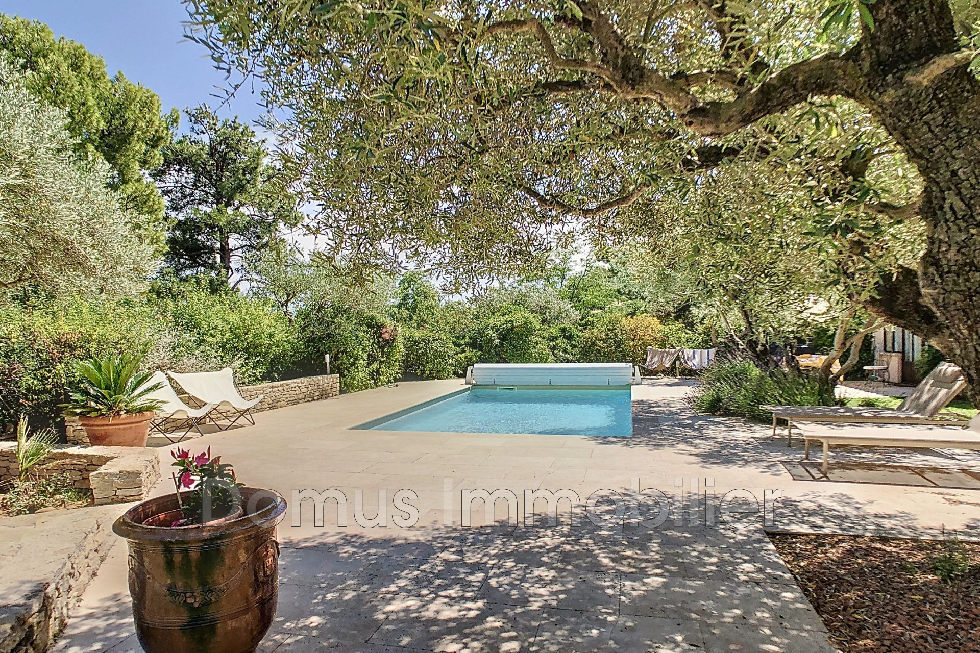 Agence immobilière de Domus Immobilier