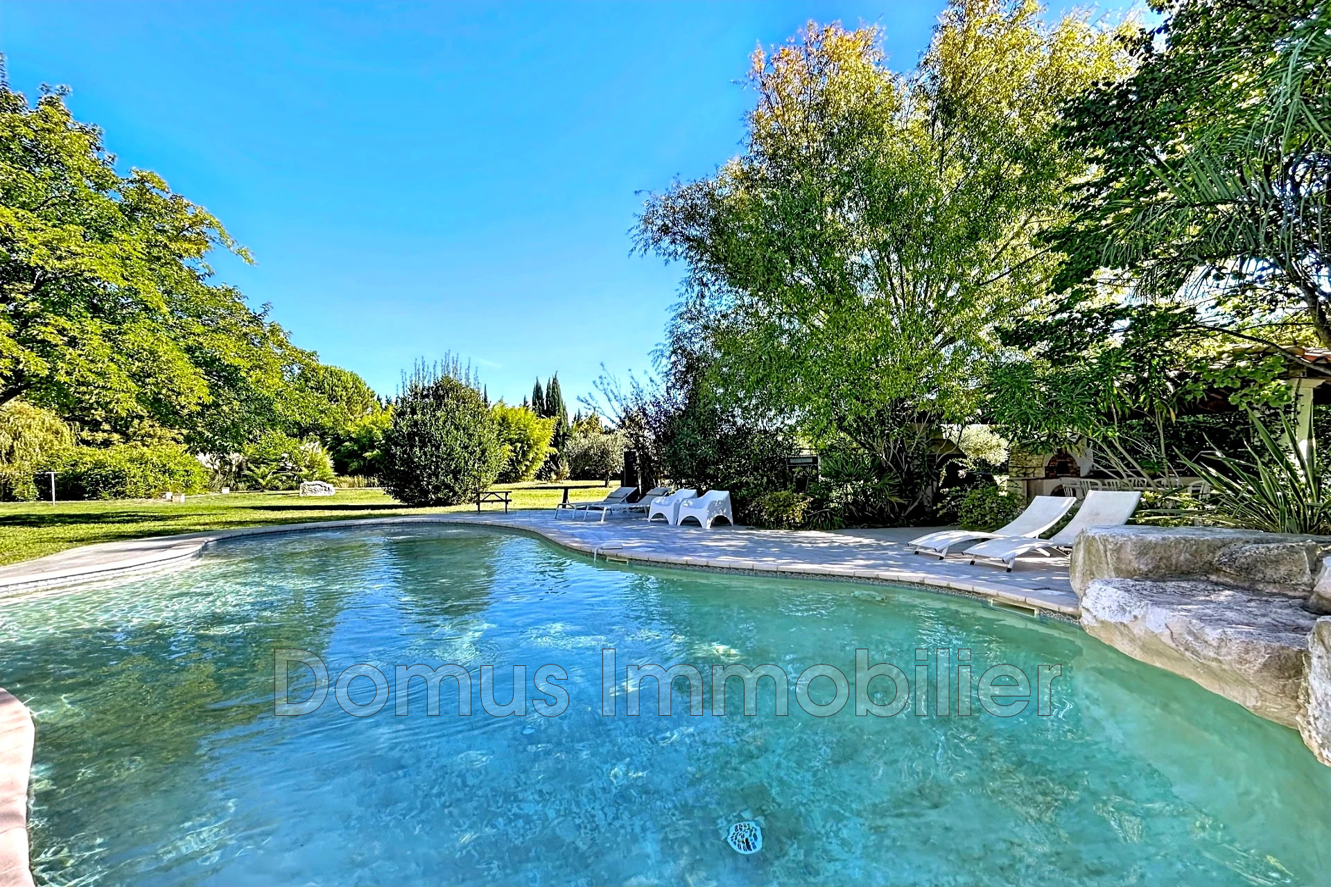 Agence immobilière de Domus Immobilier