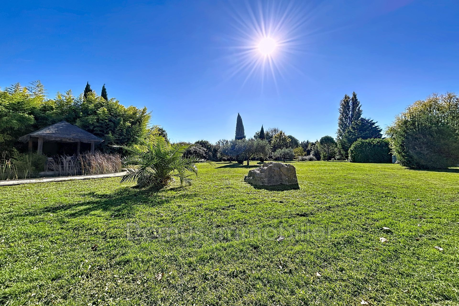 Agence immobilière de Domus Immobilier