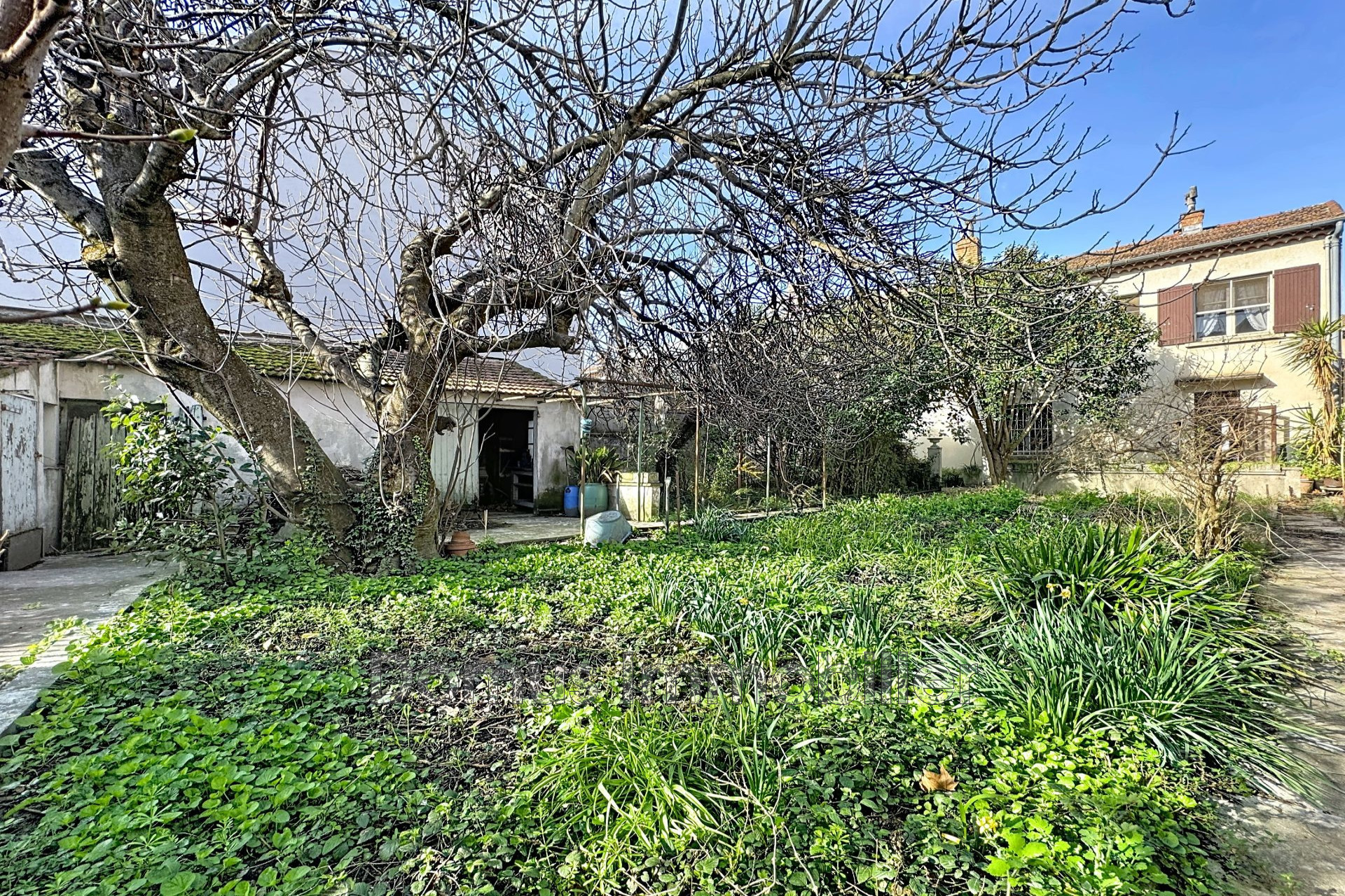 Agence immobilière de Domus Immobilier