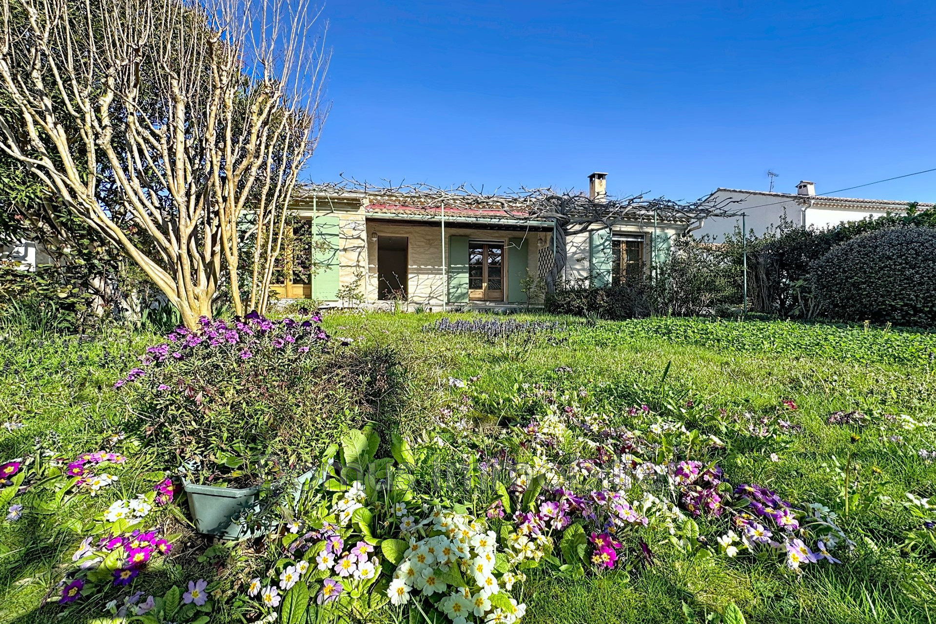 Agence immobilière de Domus Immobilier