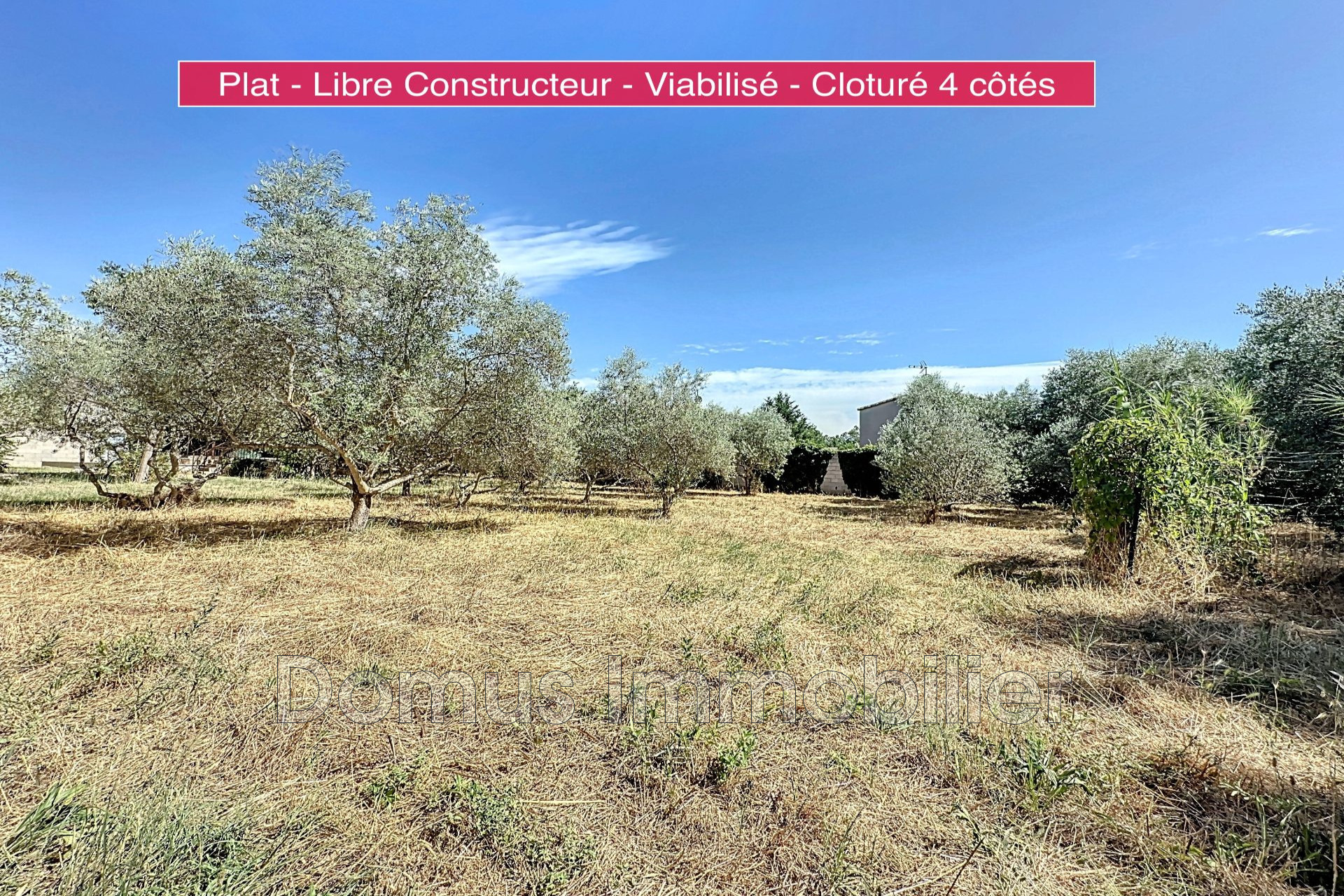 Agence immobilière de Domus Immobilier