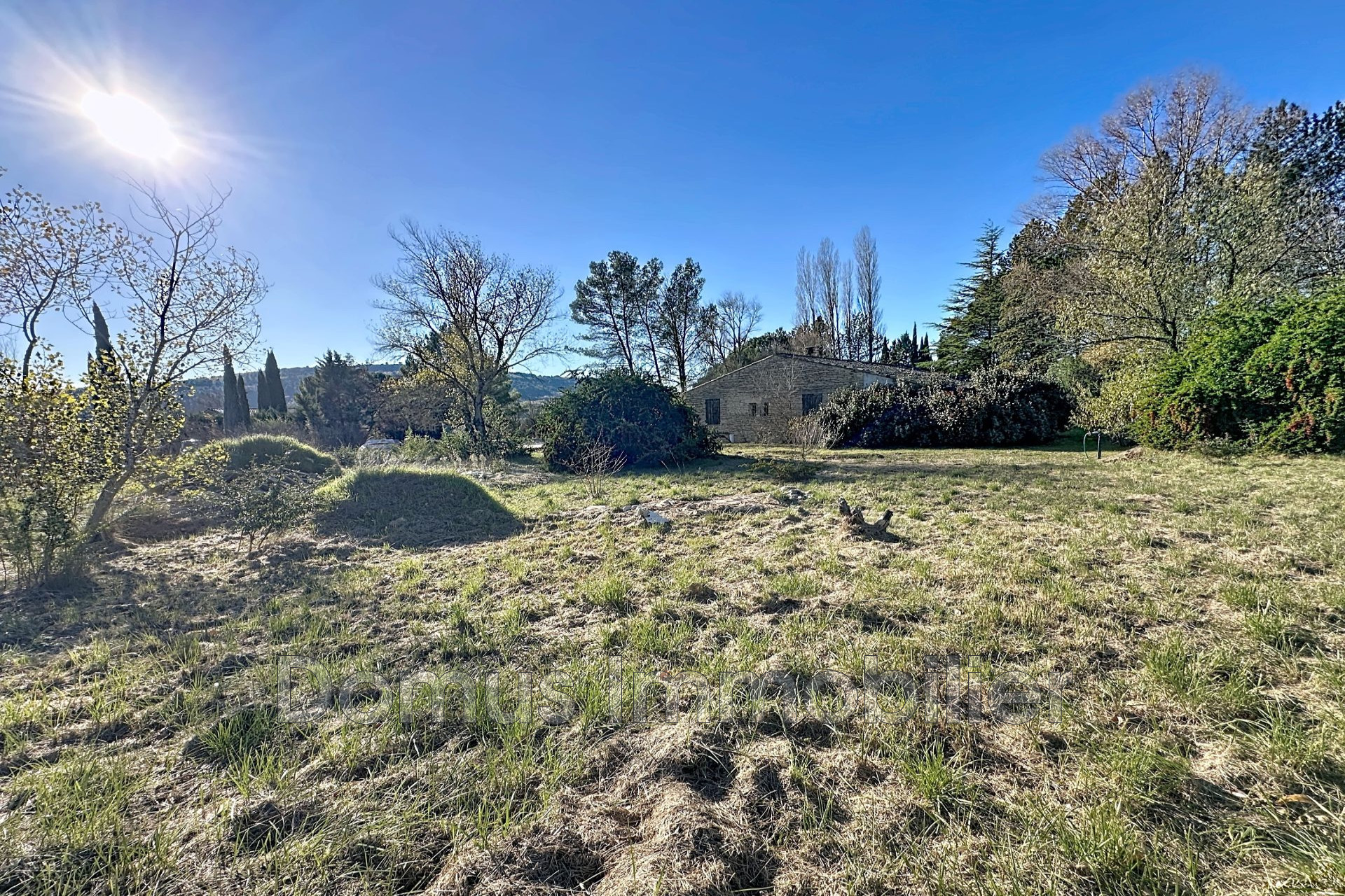 Agence immobilière de Domus Immobilier