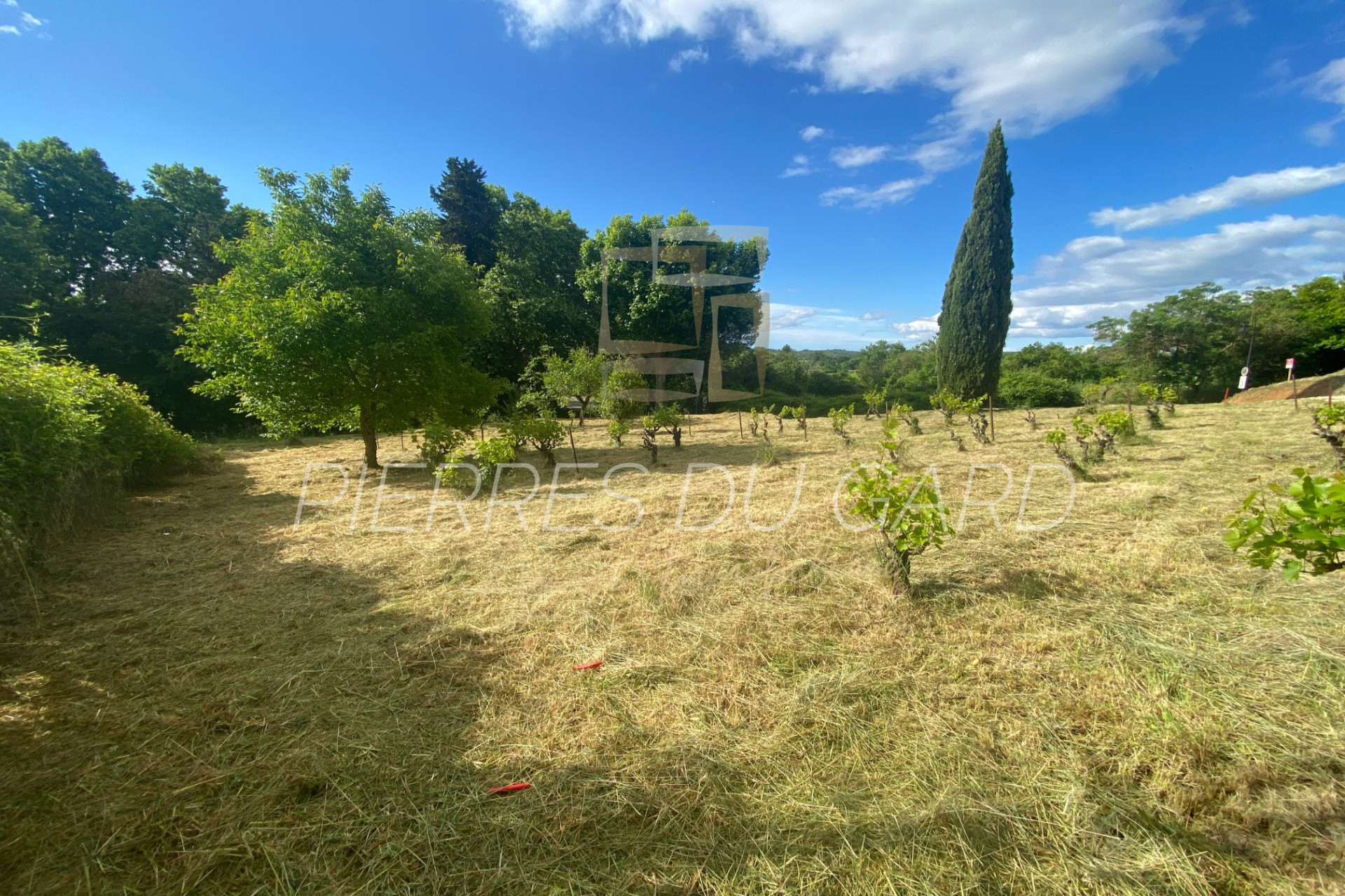 Agence immobilière de Agence Pierres du Gard