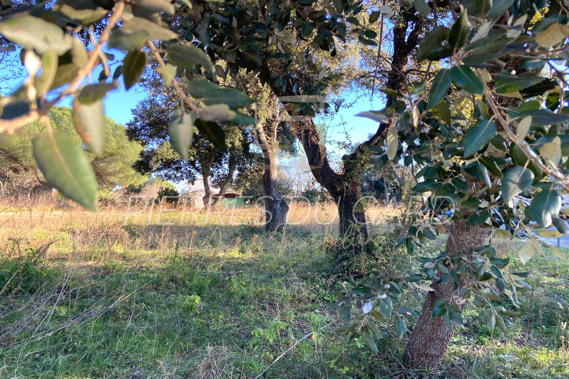 Agence immobilière de Agence Pierres du Gard