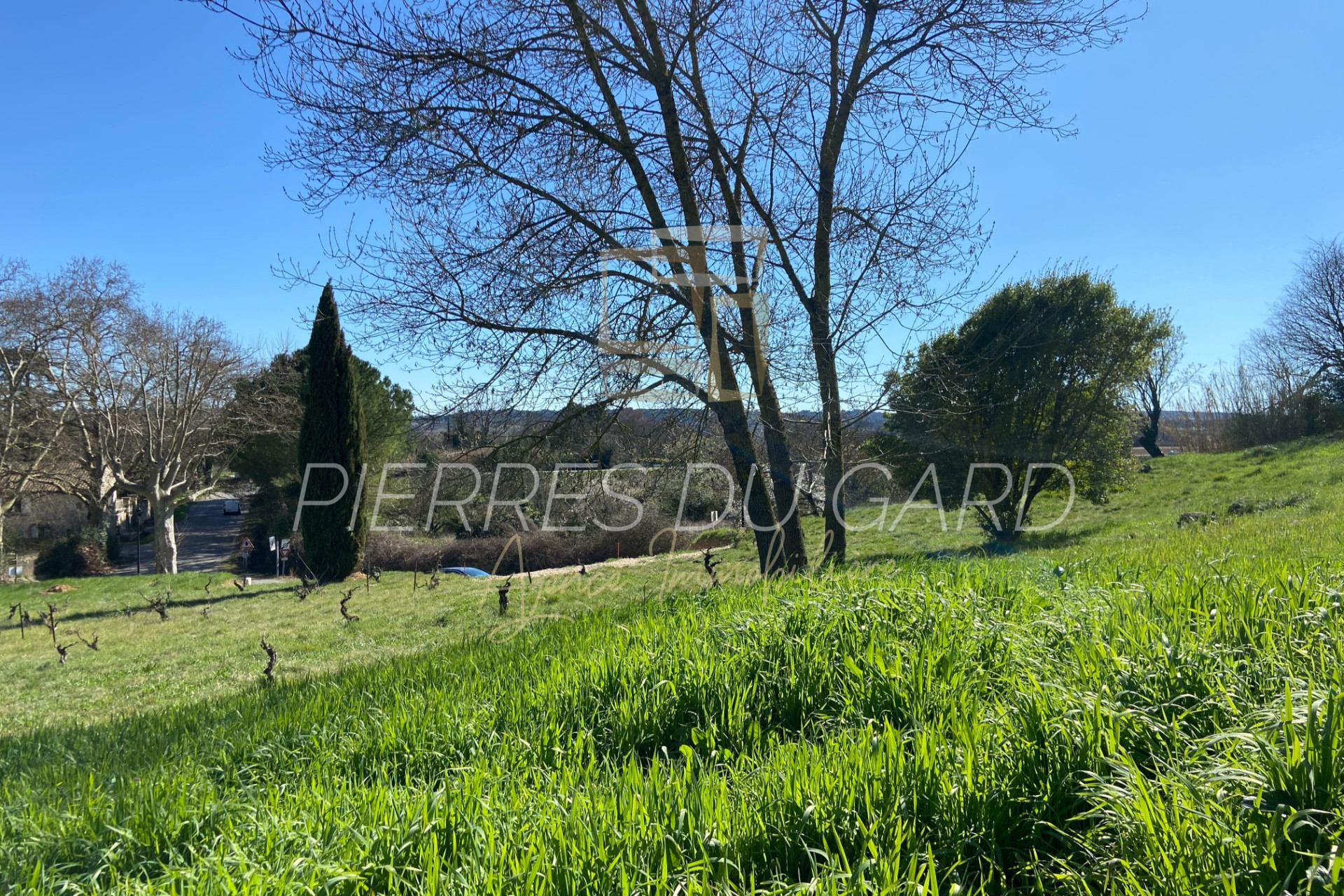 Agence immobilière de Agence Pierres du Gard