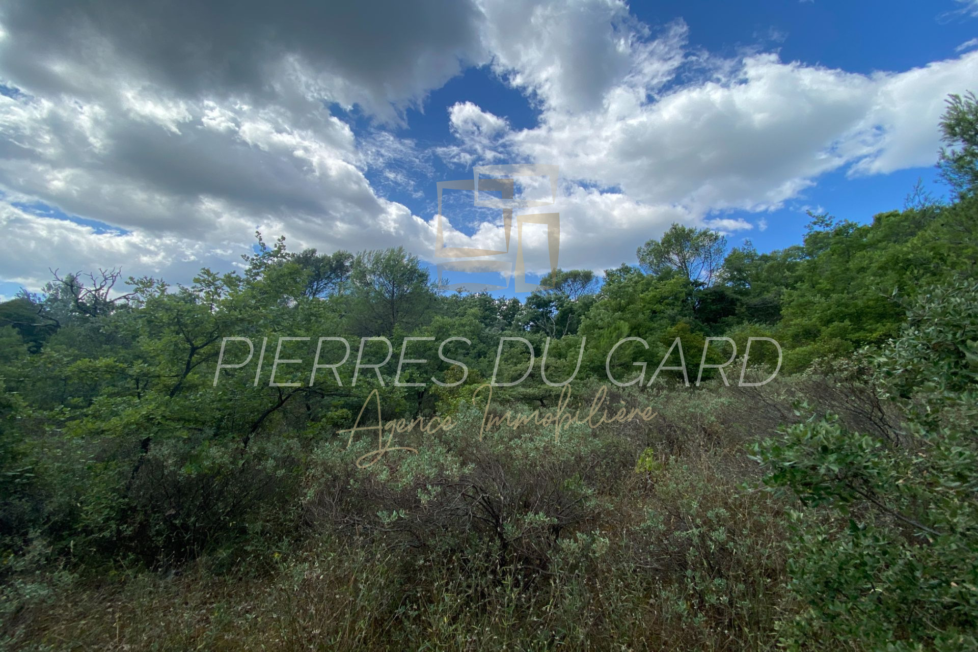 Agence immobilière de Agence Pierres du Gard