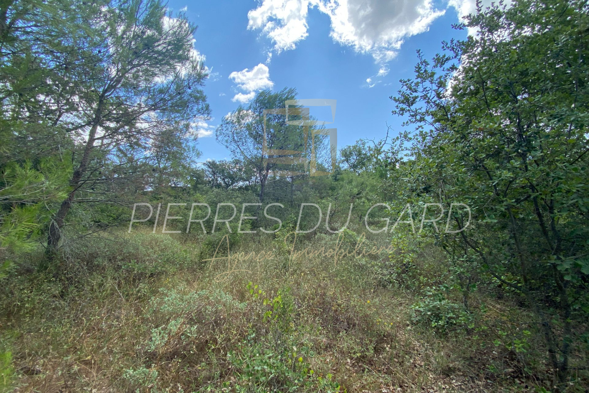 Agence immobilière de Agence Pierres du Gard