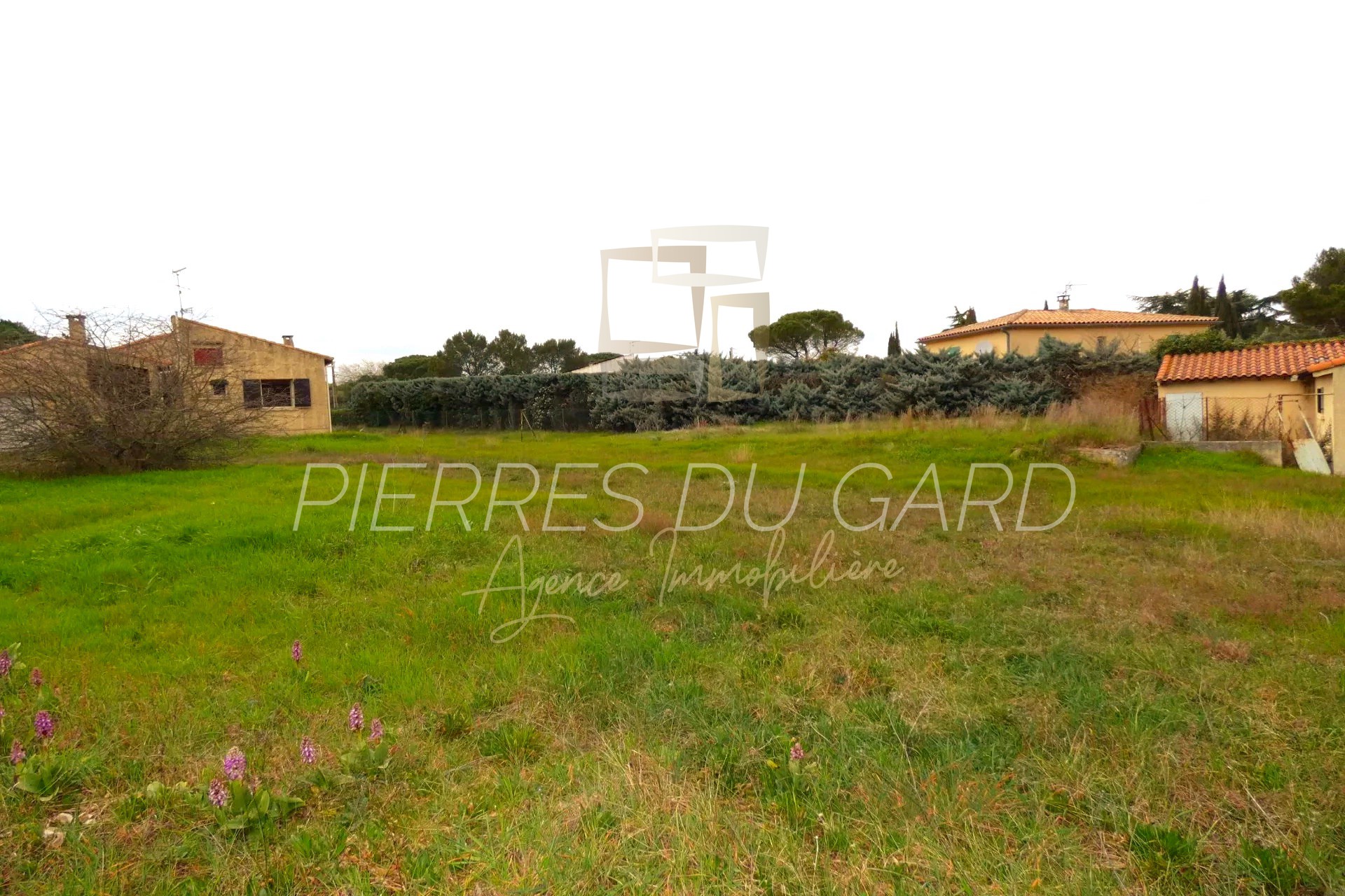 Agence immobilière de Agence Pierres du Gard