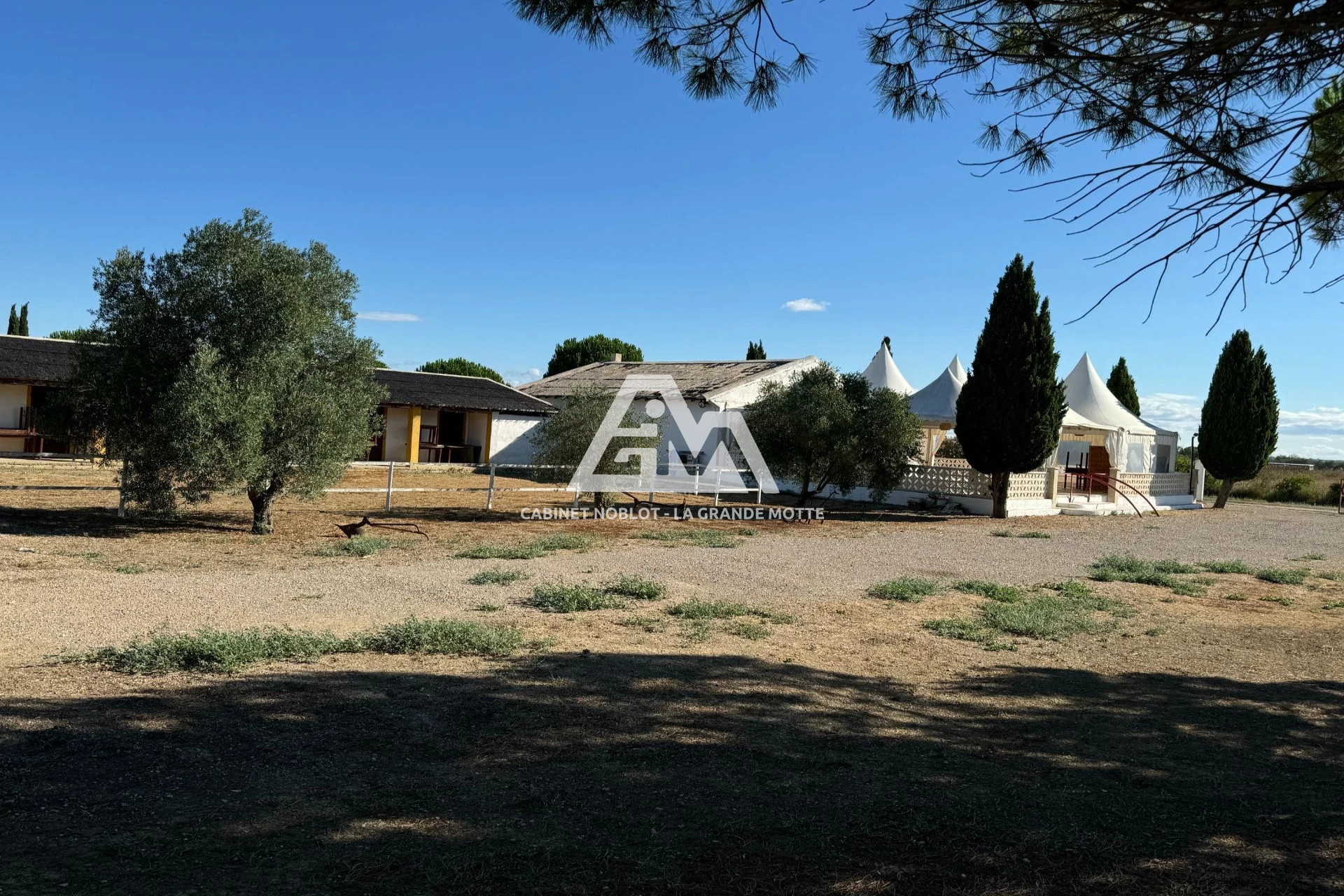 Agence immobilière de Agence de la Grande Motte