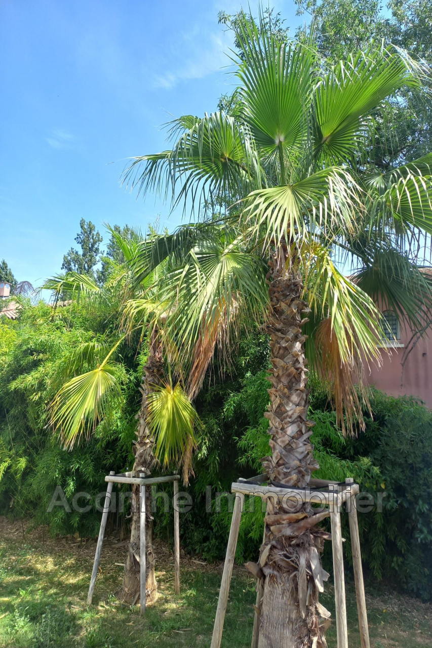 Agence immobilière de Acanthe Immobilier
