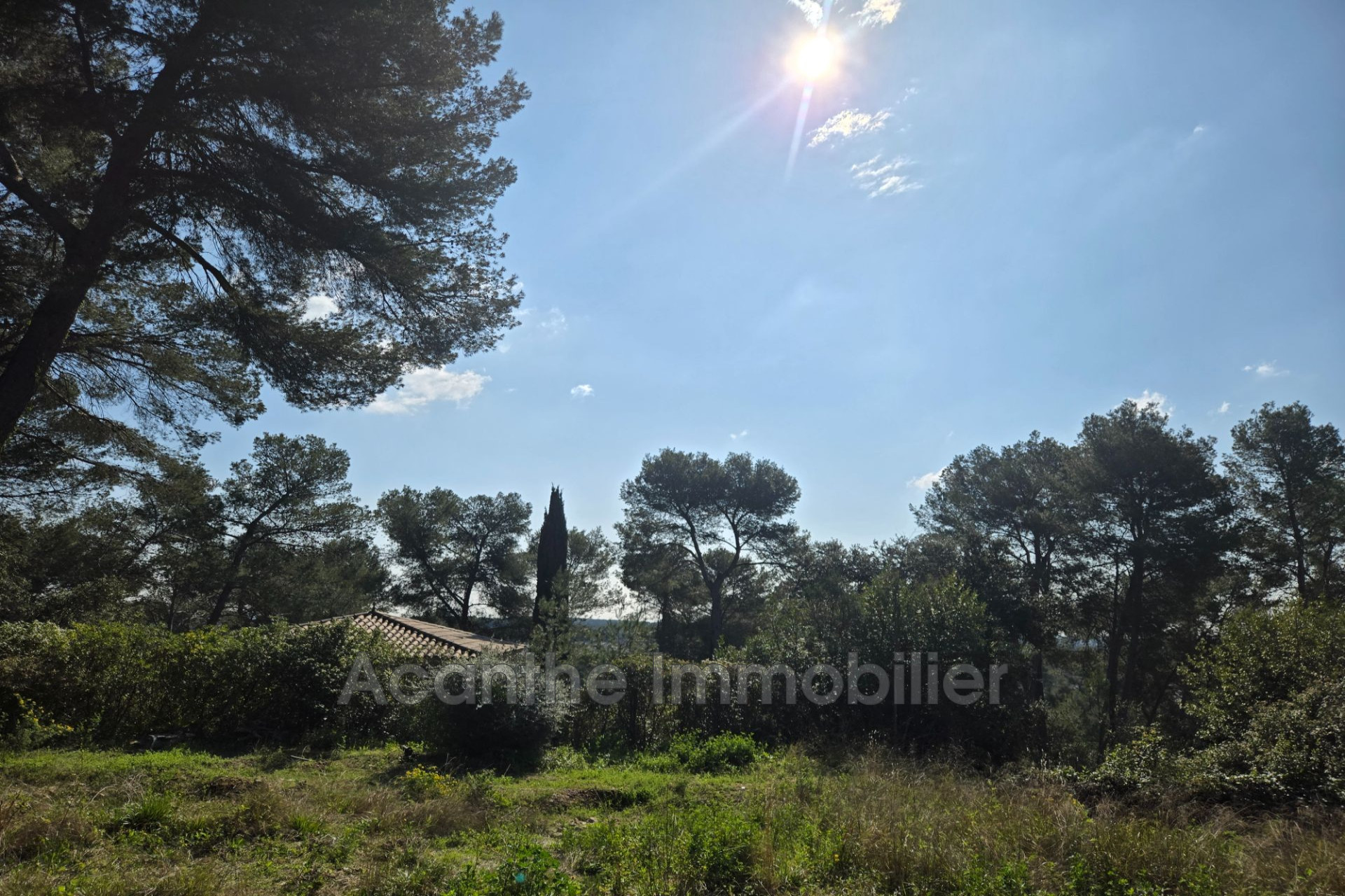 Agence immobilière de Acanthe Immobilier