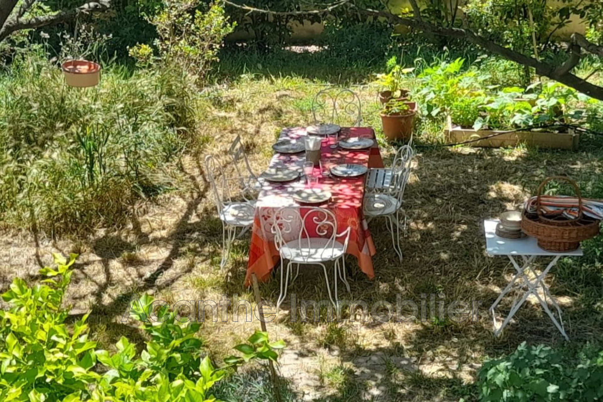 Agence immobilière de Acanthe Immobilier