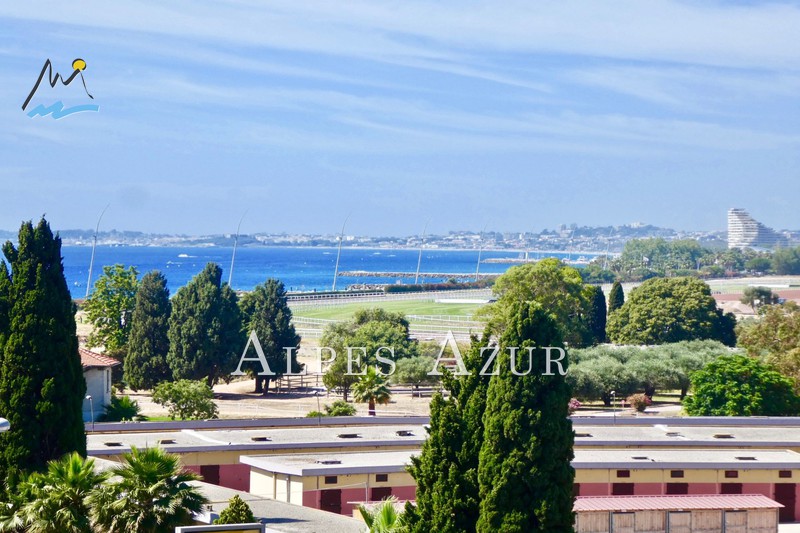 Vente Appartement Dernier étage Cagnes-sur-mer La Pinède Ou Le Cros