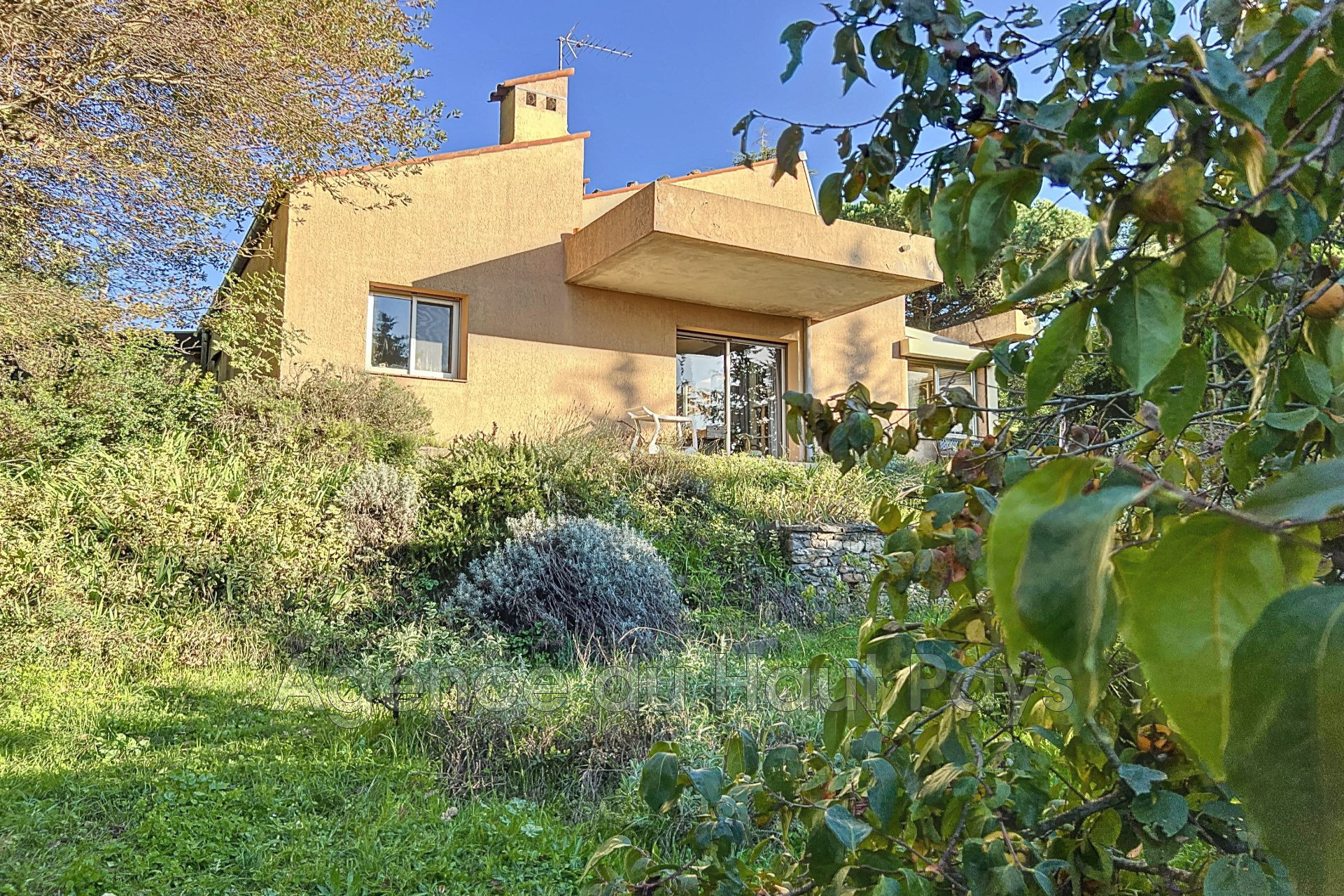 Agence immobilière de Agence du Haut Pays