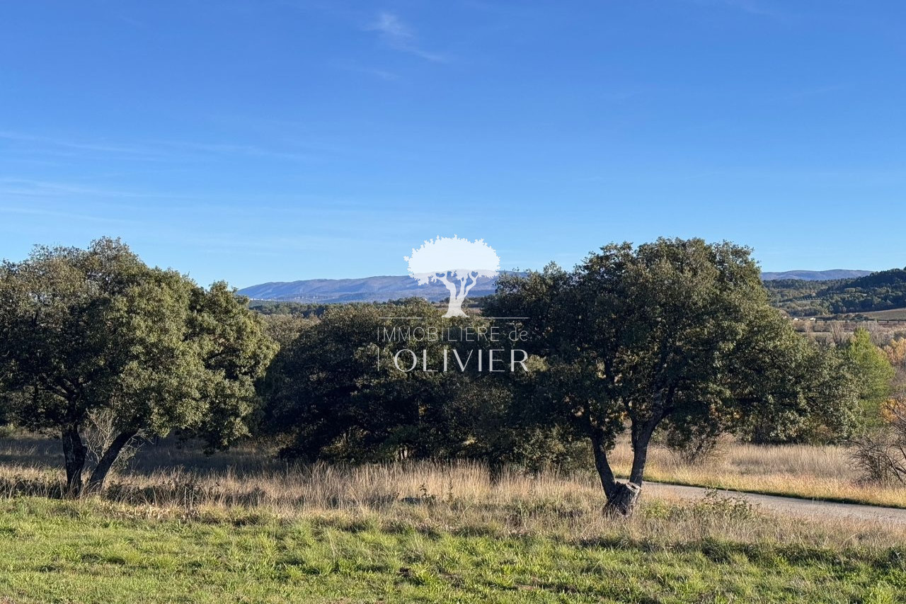 Agence immobilière de Immobilière de l'Olivier