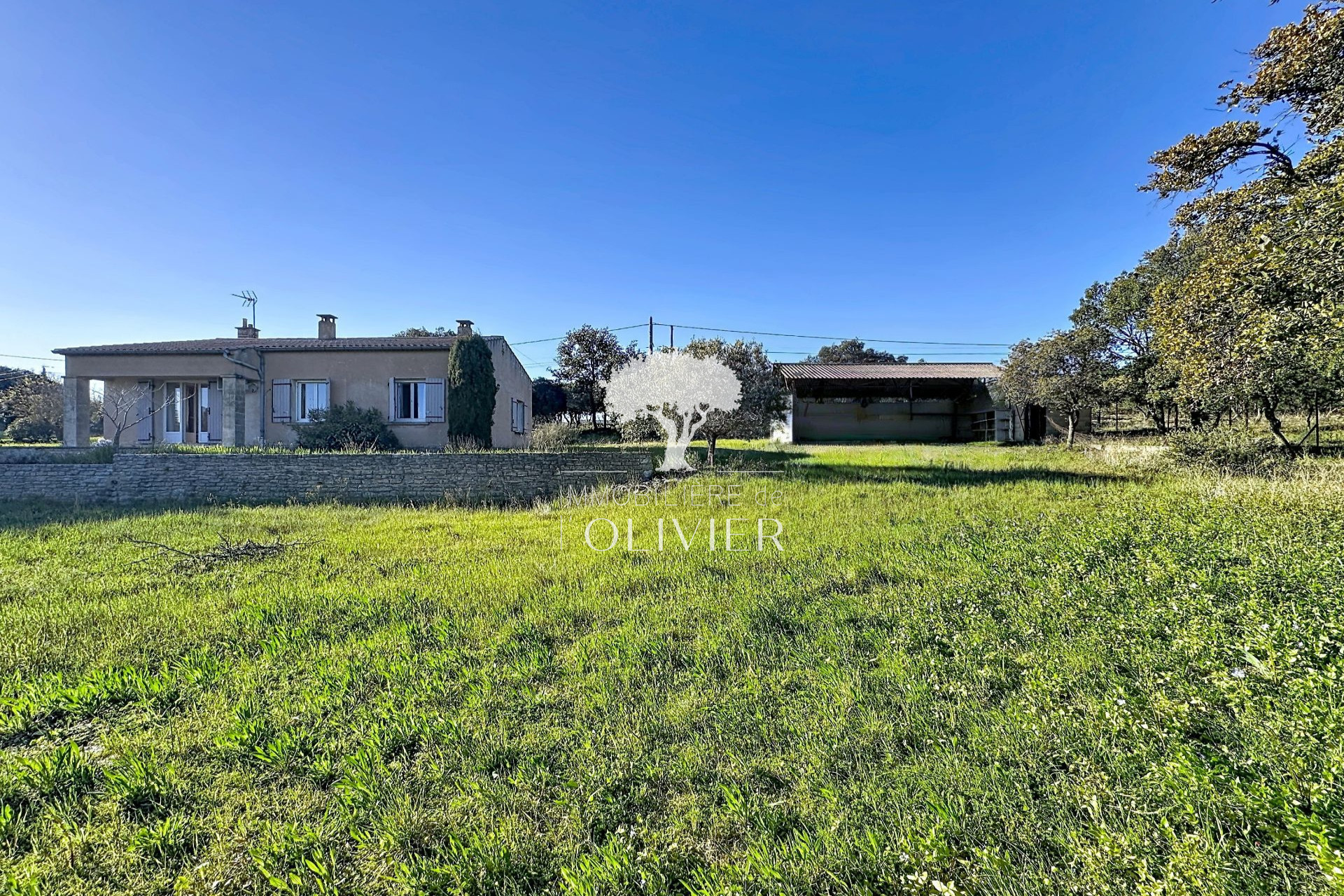 Agence immobilière de Immobilière de l'Olivier