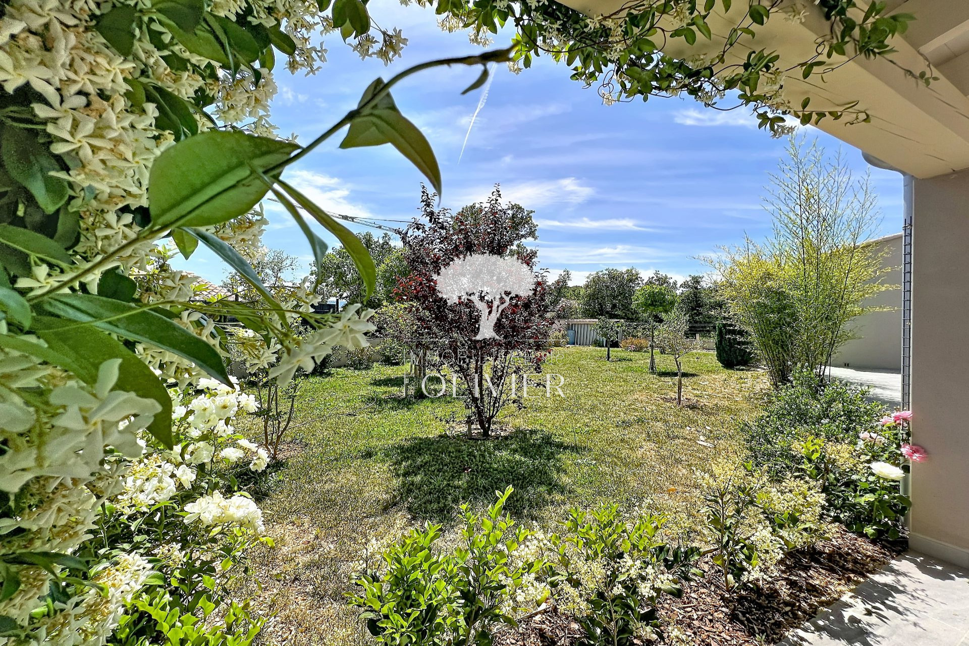 Agence immobilière de Immobilière de l'Olivier