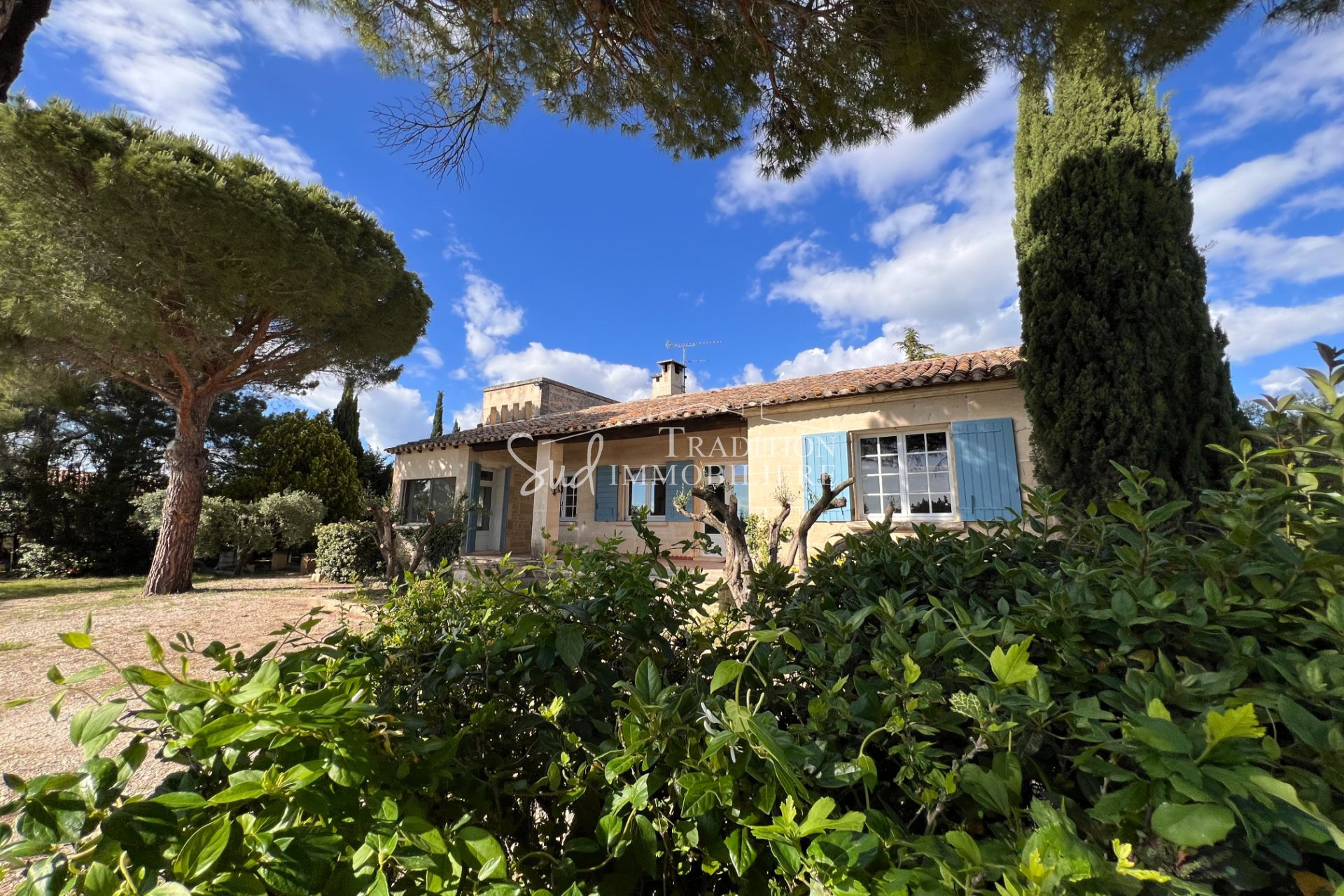 Image principale - Fontvieille