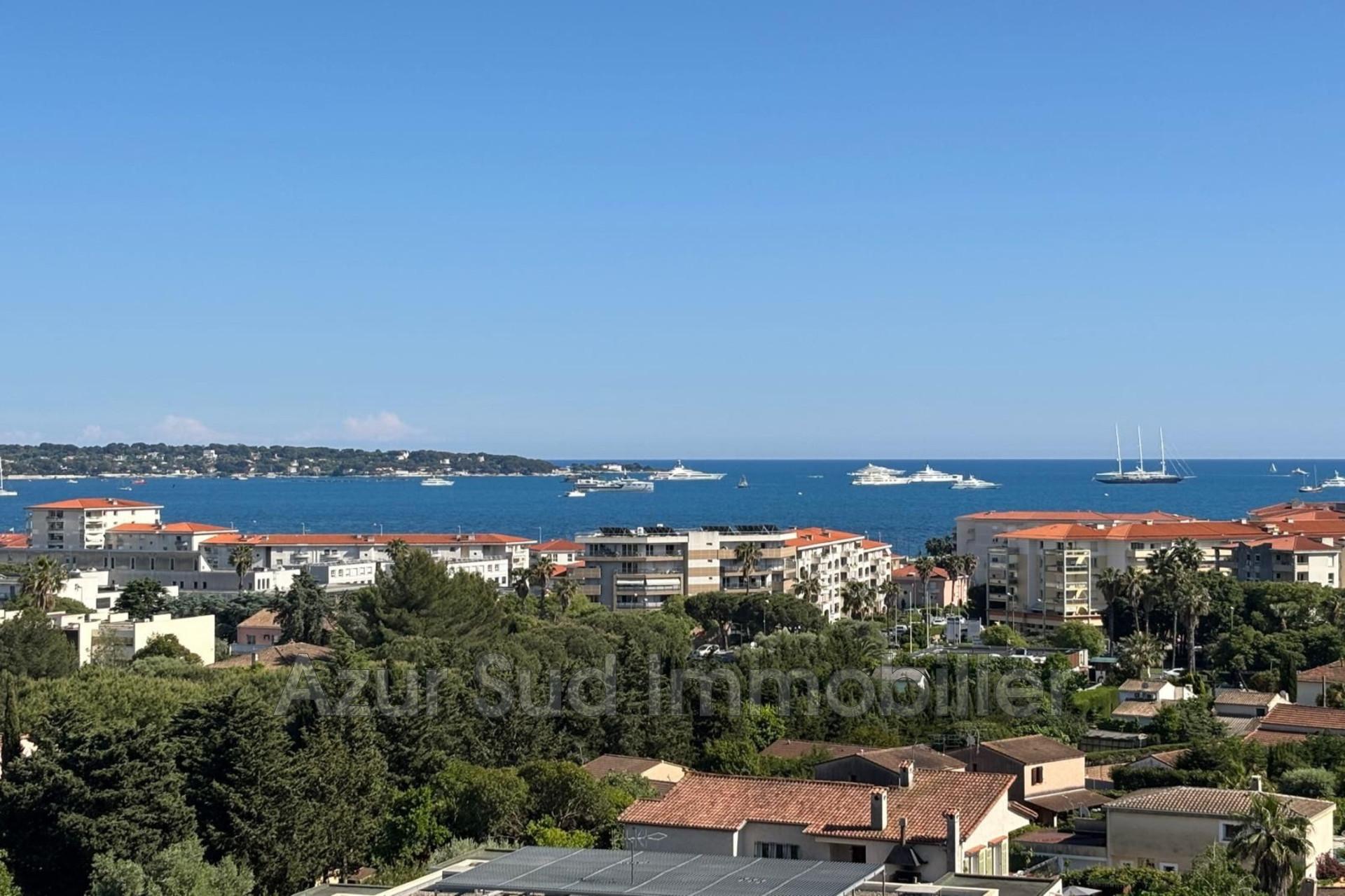 Agence immobilière de AJC Immobilier Antibes