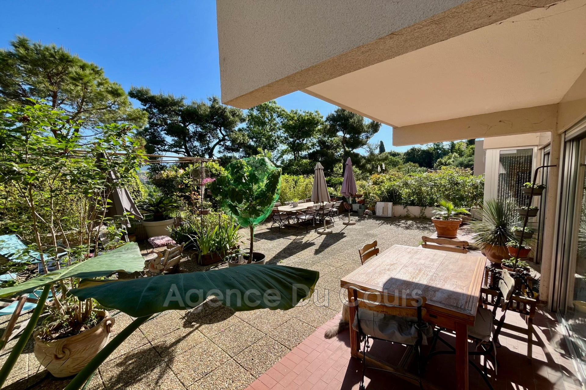 Agence immobilière de Agence Du Cours