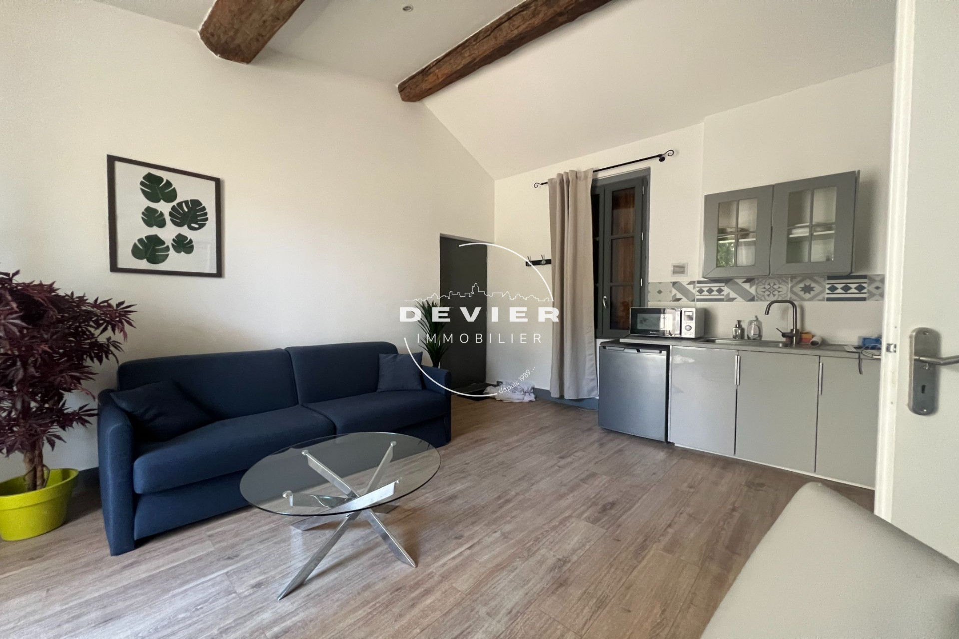 Agence immobilière de Devier Immobilier