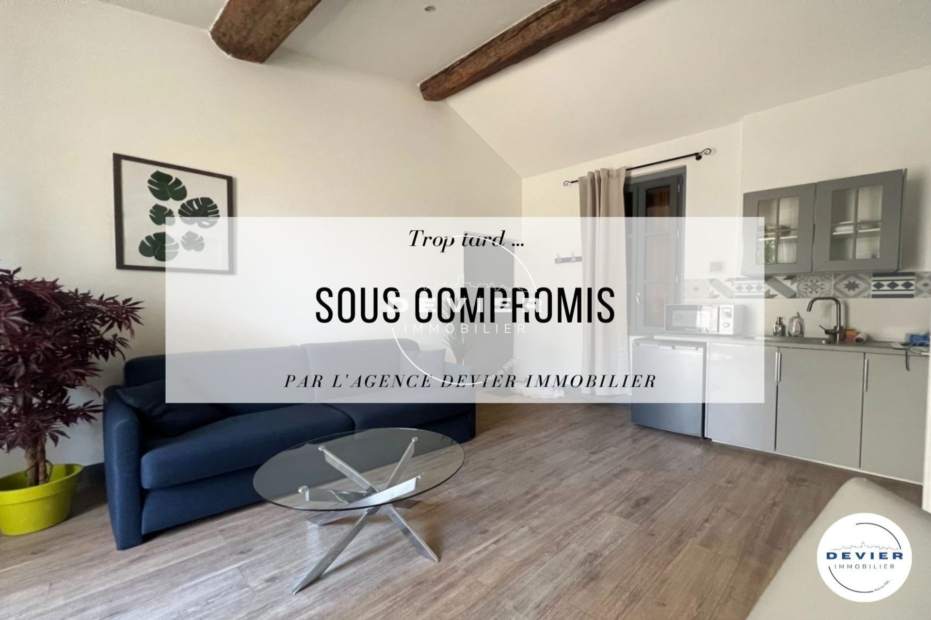 Agence immobilière de Devier Immobilier