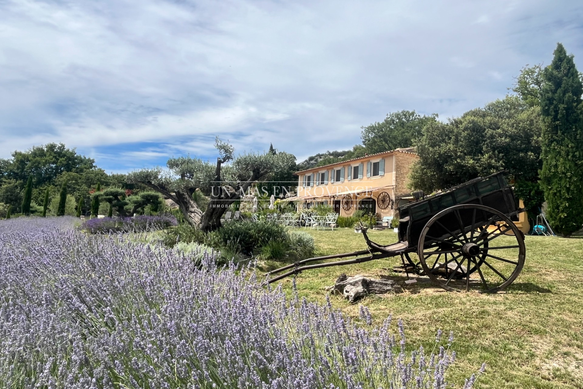 Agence immobilière de UN MAS EN PROVENCE