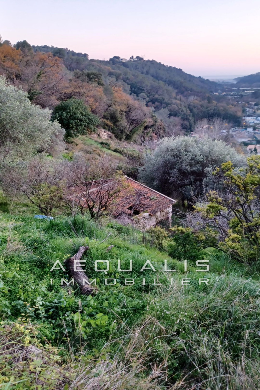 Agence immobilière de Aequalis Immobilier